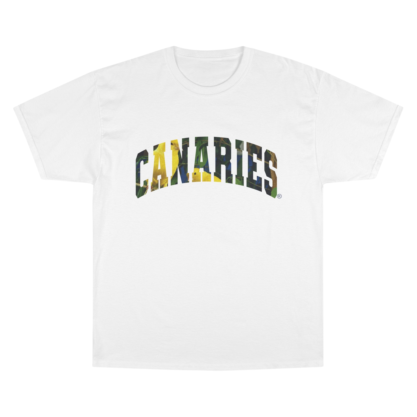 Arched Birds Tee - White